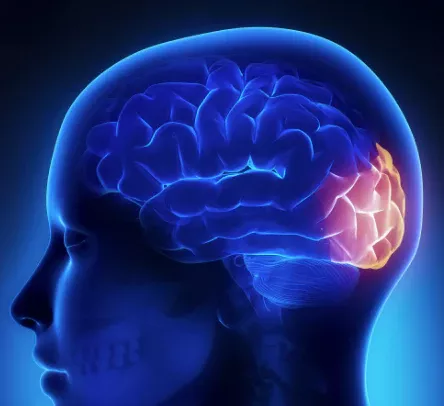 cerveau Hypnose isere bernin